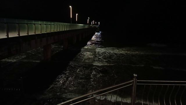 VID_20250321_222850-25