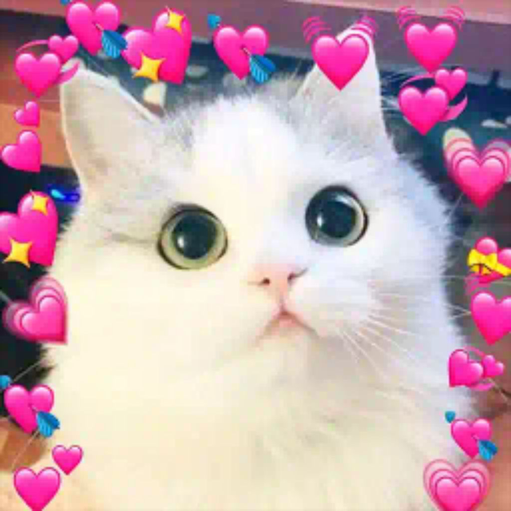 делаем дракона смотреть онлайн