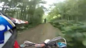 Мотоциклист встретил медведя в лесу