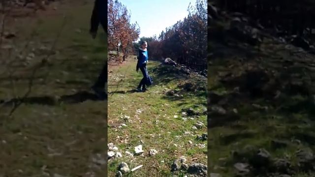 Приключение двух подруг в загадочном лесу (4серия)