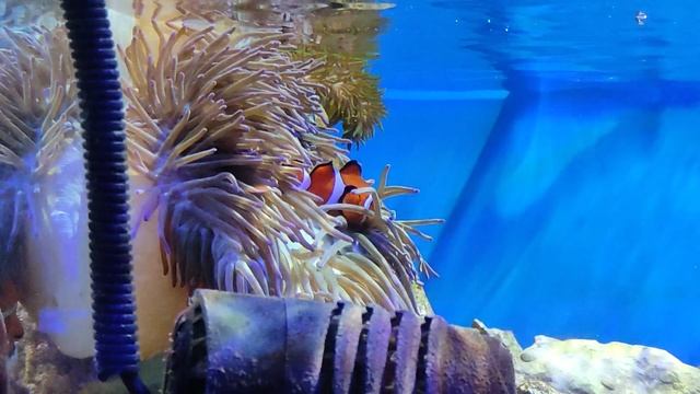 VID_20250319_150913-17