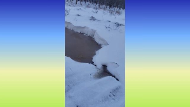 28.03.2022. Невинномысск. Влог. Снег и позёмок. Читайте описание.