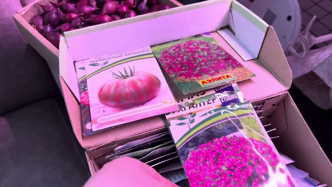 Рассада, семена , находки. Сезон 2025. смотреть онлайн