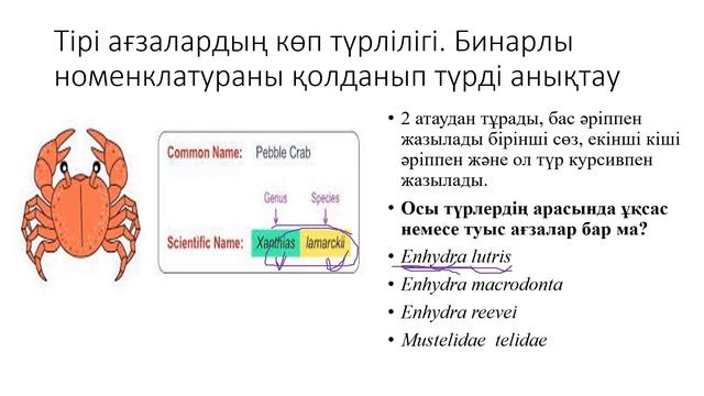 9 класс.Биология. 1 тоқсан бойынша қайталау тапсырмалары смотреть онлайн