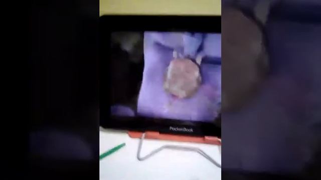 Песня.Маши🎵🎵🎵🎶🎶🎻♩♩♩ смотреть онлайн