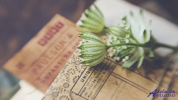 ❤❤❤ Лучшая музыка для богатства  Tranquil Mindscape ( Lofi , Happy , Reflection ) -- HoliznaCC0 -- P