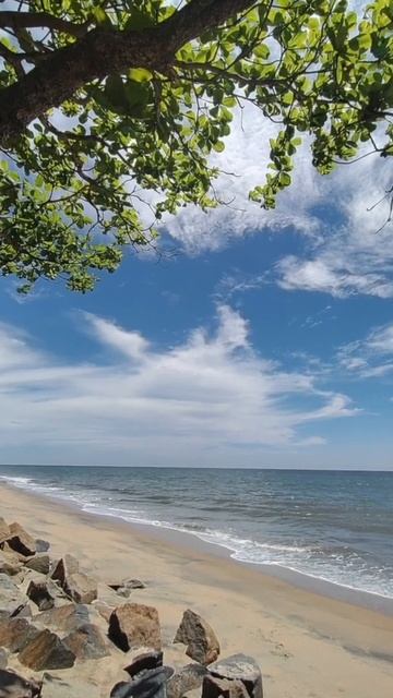 God's Own Country | Kerala | Shorts смотреть онлайн