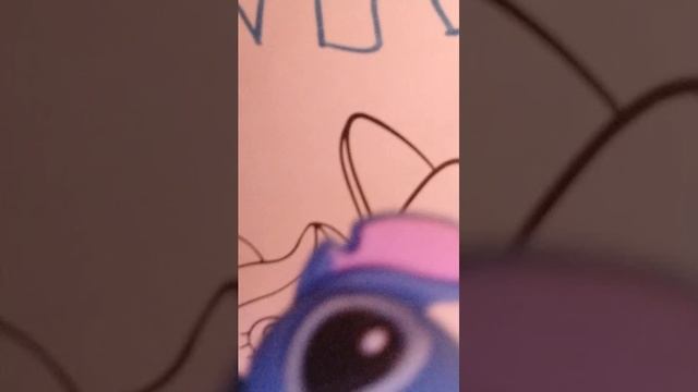 привет клип рация