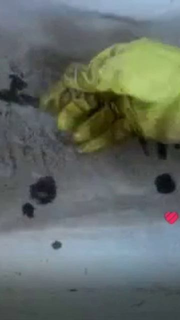 Монетка в #огороде клад ) смотреть онлайн