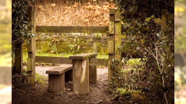 How geocaching improves my photography смотреть онлайн