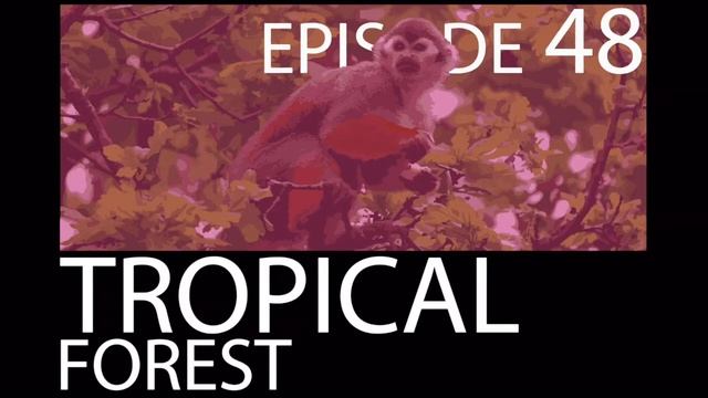 Episode 48 - Tropical Forest смотреть онлайн