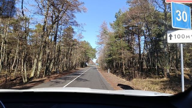 VID_20250320_142209-21