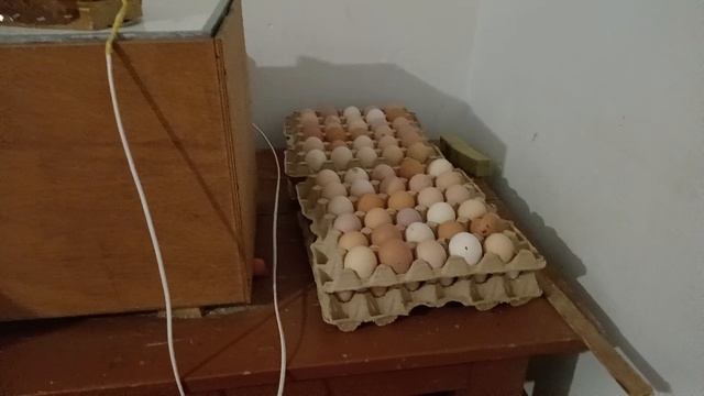 КВАРЦЕВАНИЕ самый лучший спасоб дезинфекции инкубационного яйца смотреть онлайн