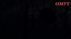 240. ИНТЕРЕСНАЯ СОБАЧКА