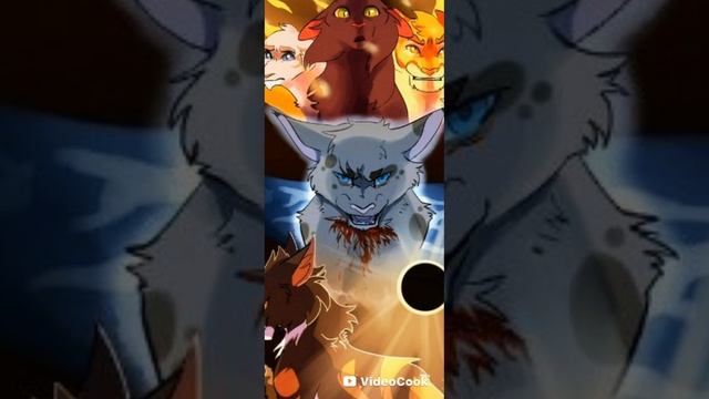 рубрика вопрос-ответ! с Закатным Лучом и Неоновой Фиалкой смотреть онлайн