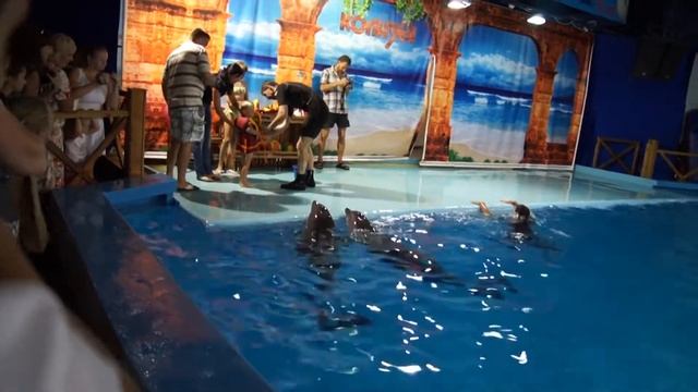 В дельфинарии