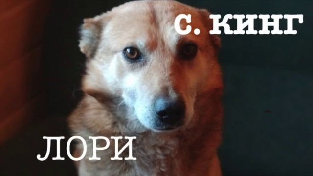 Стивен Кинг. "ЛОРИ". Аудиокнига. Читает В. Дейко смотреть онлайн
