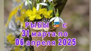 РЫБЫ 🐟 Расклад таро с 31 марта по 06 апреля 2026 года