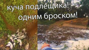 Рыбалка на кастинговую сеть Китайку! Ловлю кучу Подлещика!