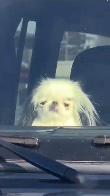 Состояние к концу рабочей недели смотреть онлайн