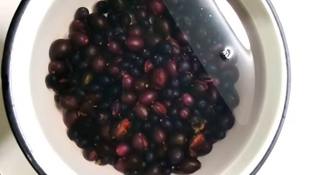 Як швидко #розморозити #ягоди смотреть онлайн
