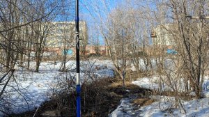 Ловля птиц 28.03.2025.