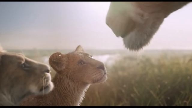"Муфаса: Путь лидера " (клип, история персонажа) смотреть онлайн
