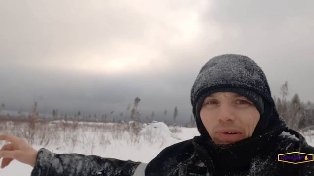 Разведка медоносов.