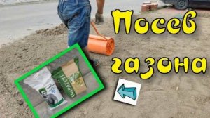 Посев газона
