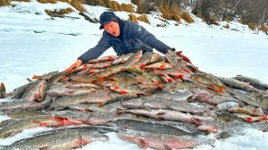 НЕ ВЕРЮ! ТОННЫ РЫБЫ ИДУТ ВАЛОМ! ЛОМАЕМ УДОЧКИ, РВЁМ ЛЕСКИ и ПОВОДКИ! ЭТО ВУЛКАНЫ ЭВЕНКИИ!