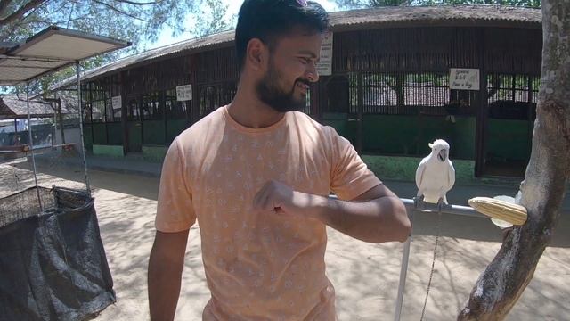 TURTLE ISLAND DAY 3 | KUTA BEACH | BALI SERIES | BALI ON BUDGET WITH TRAVEL TRIANGLE смотреть онлайн