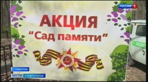 Ставрополье присоединилось к патриотической акции «Сад памяти»