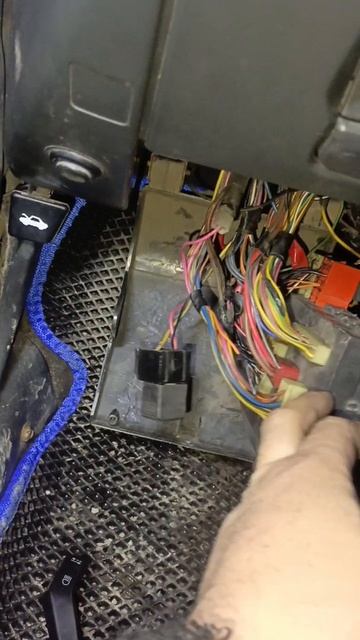 Бобер 🦫 о курва.🤣🤣🤣😁 погрыз провода #automobile #ремонт #топ #автомобильнаторгах #ремонттойота смотреть онлайн