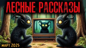 ЛЕСНЫЕ РАССКАЗЫ | Страшные истории
