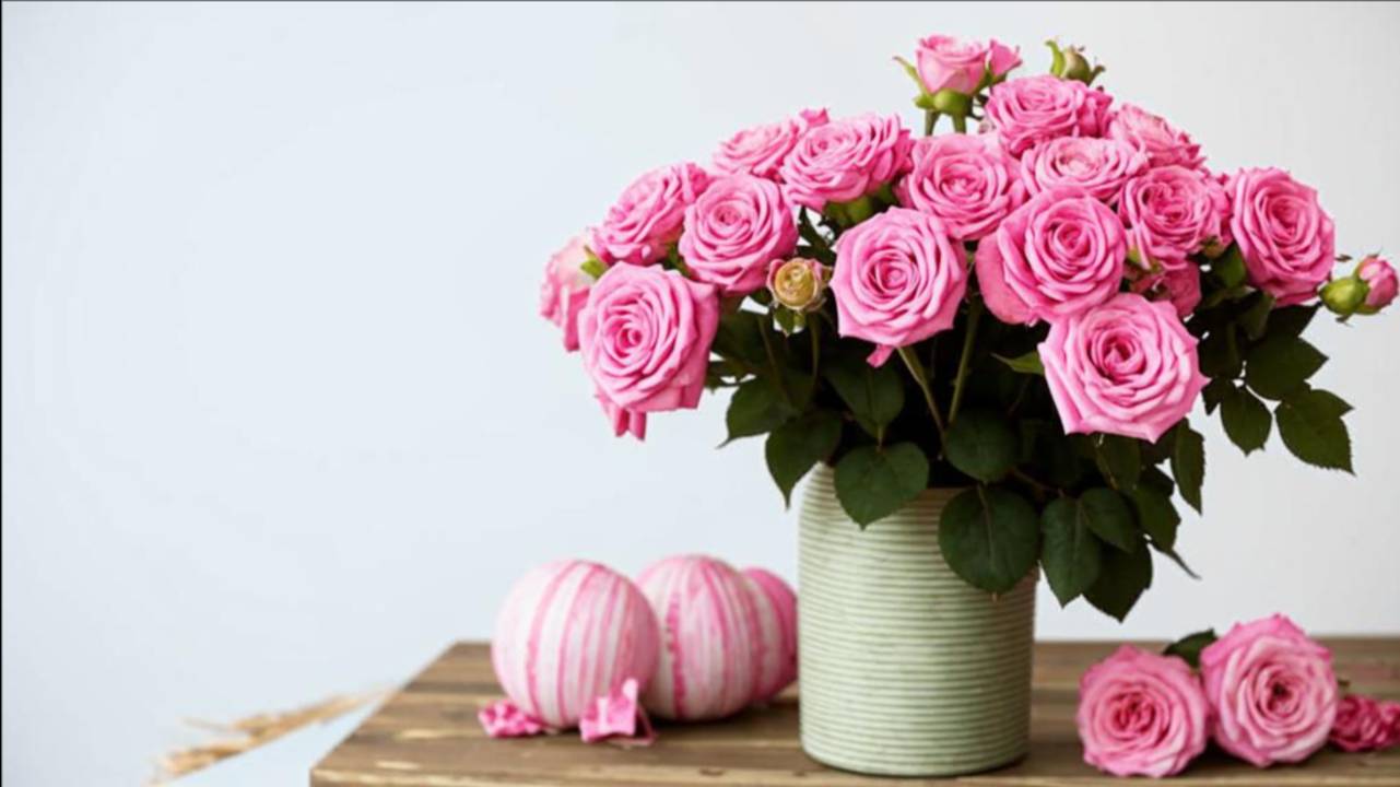 С днём рождения, Вера! смотреть онлайн