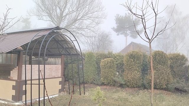 Туман в Подмосковье, наша дача 29.03.2025 смотреть онлайн