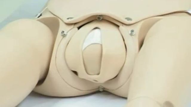 Манекен имитации родов Noelle, Ноэлье II