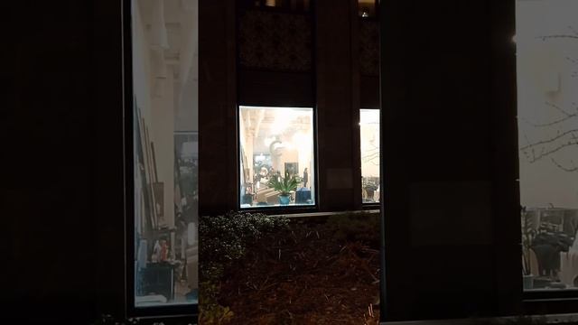 1000021119.mp4 смотреть онлайн