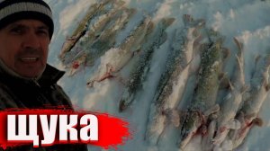 Рыбалка. Зимняя рыбалка. Щука на жерлицы.