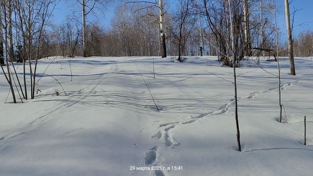 Прогулка Мундыбаш 29.03.2025