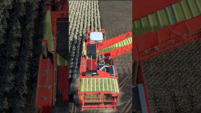 уборка картохи смотреть онлайн