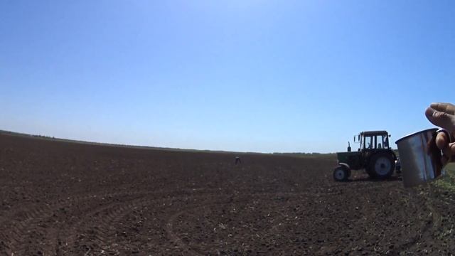 Первый день предпосевной культивации на МТЗ 82.1 Готовимся к посевной подсолнуха, а влаги то  нету!
