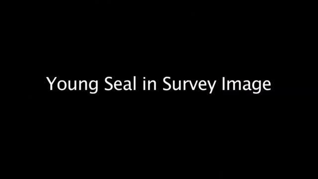 Unmanned Aircraft: Ice Seal Survey Flight смотреть онлайн