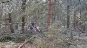 Мигранты похитили, изнасиловали и убили 13-ти летнюю девочку в Тверской области