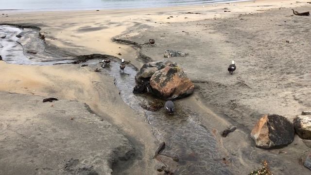 17 februari 2019 смотреть онлайн