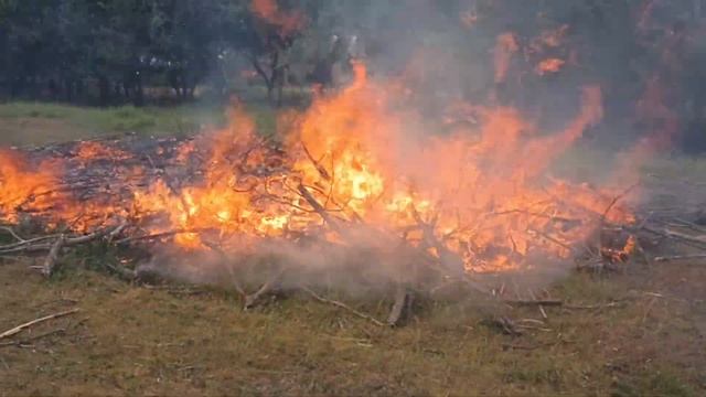 Кролики на свободном ВЫПАСЕ. Летом в деревне . Отдыхай и работай. Утилизация мусора через костер. смотреть онлайн