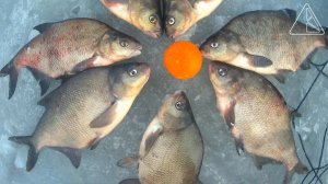 Опасно! 2 Крайний лёд р.Свирь