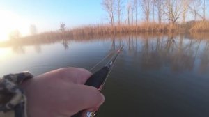 ПРУТ КАК ПАРОВОЗЫ, УСТАЛ ТАСКАТЬ! Рыбалка в глухом коряжнике.