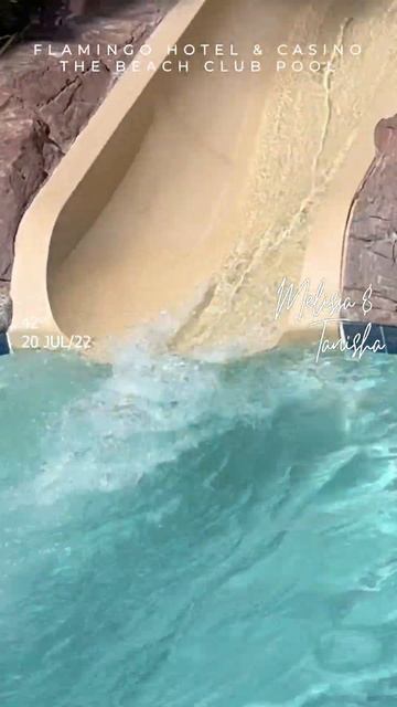 The Beach Club #shorts Go Pool Flamingo #shorts смотреть онлайн