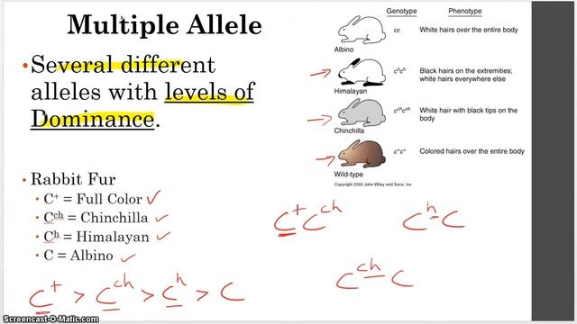 Unit 8 Genetics 5 NonMendelian Inheritance смотреть онлайн
